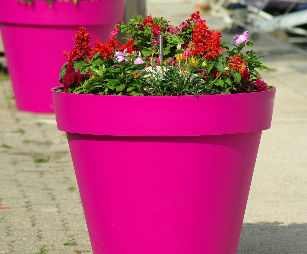 flowerpot, beautiful flowers, flowers-808323.jpg